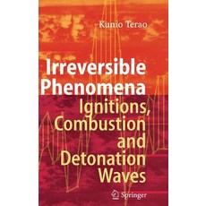 (英文圖書) Irreversible Phenomena: Ignitions Combustion and Detonation Waves 精裝版, Springer, 英文