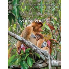 (英文圖書)A Visual Guide to Mammals Library Binding, Rosen Young Adult, 英文, 精裝版