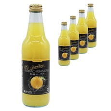 柑橘氣泡飲, 5個, 340ml