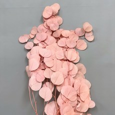 W&T花藝資材 台灣現貨 永生圓葉尤加利葉 蘋果葉 乾燥花 永生花 花材, 粉色
