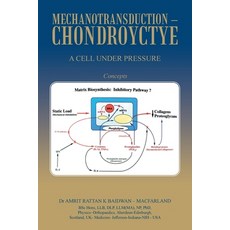 (英文圖書) Mechanotransduction - Chondroyctye: A Cell Under Pressure 平裝版, Authorhouse UK, 英文