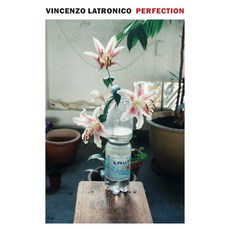 (英文圖書) Perfection 平裝版, New York Review of Books, 英文