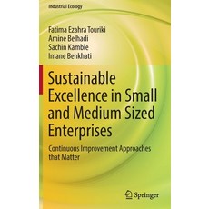 (英文圖書) Sustainable Excellence in Small and Medium Sized Enterprises: Continuous Improvement Approach... 精裝版, Springer, 英文