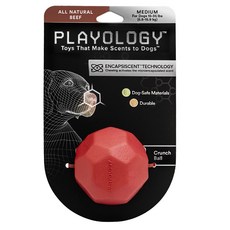 PLAYOLOGY 寵物狗用牛肉味多邊形球玩具 M號 6.8~15.9kg, 1個, 紅色的