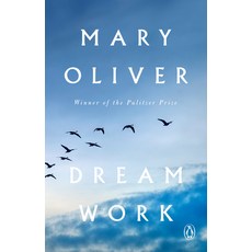 (英文圖書) Dream Work 平裝版, Penguin Books, 英文