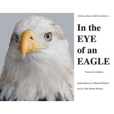 (英文圖書)In the Eye of an Eagle: A look at the world from above. 平裝版, Shareinprint, 英文