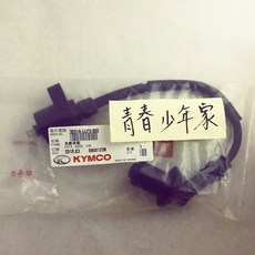 KYMCO 光陽 原廠 LLF5-800 JR 4U 化油版 高壓線圈 點火線圈, 1個