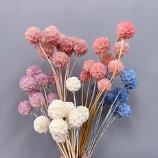 W&T花藝資材 現貨 永生風車果 松蟲果(1束10朵) 乾燥花束 居家裝飾 花藝設計, 白色