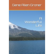 (英文圖書) A Wonderful Life 平裝版, Independently Published, 英文