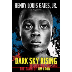 Dark Sky Rising: Reconstruction and the Dawn of Jim Crow (Scholastic Focus) 精裝版, Scholastic, 英文