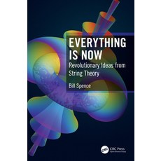 Everything is Now: Revolutionary Ideas from String Theory 精裝版, CRC Press, 英文