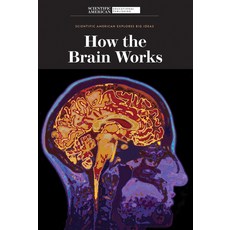 (英文圖書) How the Brain Works 平裝版, Scientific American Educati..., 英文