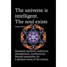 (英文圖書) The universe is intelligent. The soul exists. Quantum mysteries multiverse entanglement sy... 平裝版, Bruno del Medico Editore, 英文
