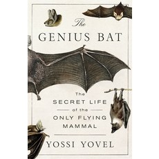 (英文圖書) The Genius Bat: The Secret Life of the Only Flying Mammal 精裝版, St. Martin's Press, 英文