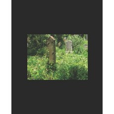 Life and Bones of the twelve apostles: A gift for sick people 平裝版, Independently Published, 英文
