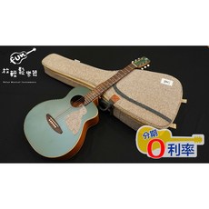 aNueNue MC10-BF 森林綠 36吋 鳥吉他 面單板 木吉他 旅行吉他 全館免運
