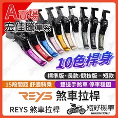 REYS 拉桿 STR300 STR250 3D 350R BRERAX 300 宏佳騰 重機, 詳見包裝, 【競技版】粉紅色拉桿一組,BRERAX 300 ABS