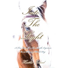 (英文圖書) Into The Light: A True Story of a Near-Death Experience on An Ordinary Miracle Day 精裝版, FriesenPress, 英文