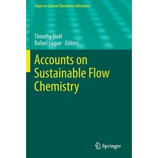 Accounts on Sustainable Flow Chemistry 平裝版, Springer, 英文