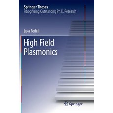 (英文圖書) High Field Plasmonics 平裝版, Springer, 英文