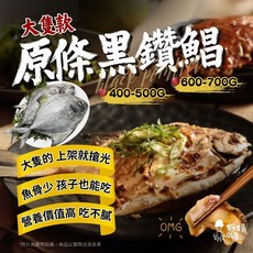 【好嬸水產】原條大隻款黑鑽鯧 400-700公克 活魚速凍 野生海魚