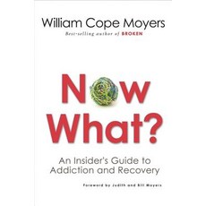 Now What?: An Insider's Guide to Addiction and Recovery, Hazelden