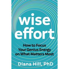(英文圖書) Wise Effort: Why Your Genius Is Your Problem and Your Greatest Gift and How to... 平裝版, Sounds True, 英文