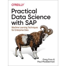 Practical Data Science with SAP: Machine Learning Techniques for Enterprise Data 平裝版, O'Reilly Media, 英文
