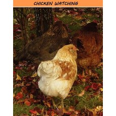 (英文圖書)Chicken Watching 平裝版, Createspace Independent Pub..., 英文