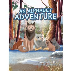 (英文圖書)An Alphabet Adventure 精裝版, Palmetto Publishing, 英文