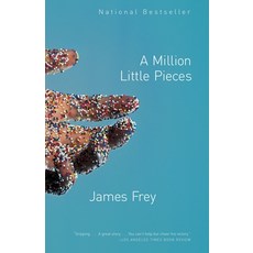 (英文圖書) A Million Little Pieces 平裝版, Anchor Books, 英文