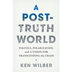(英文圖書) A Post-Truth World: Politics Polarization and a Vision for Transcending the Chaos 平裝版, Shambhala, 英文
