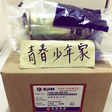 SYM 原廠 少年家 V02-800 GT 啟動馬達 引擎號碼FD開頭適用, 1個