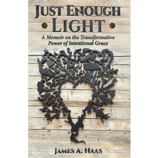 (英文圖書) Just Enough Light: A Memoir on the Transformative Power of Intentional Grace 平裝版, Gatekeeper Press, 英文