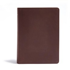 CSB He Reads Truth Bible Brown Genuine Leather: Black Letter Wide Margins Notetaking Space Readi... Leather, Holman Bibles, 英文, 皮革