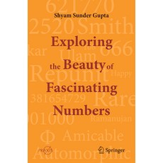 (英文圖書) Exploring the Beauty of Fascinating Numbers 平裝版, Springer, 英文
