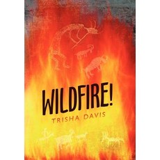 (英文圖書)Wildfire! 精裝版, iUniverse, 英文
