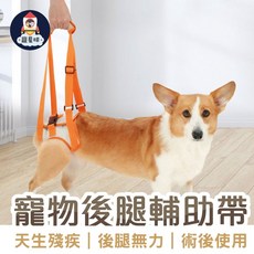 寵星球 寵物後腿輔助帶 寵物上車上樓協助帶 狗狗復健帶 術後可用 狗狗照護專區