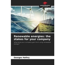 (英文圖書) Renewable energies: the stakes for your company 平裝版, Our Knowledge Publishing, 英文