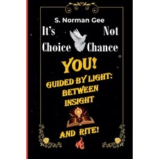 (英文圖書) You Guided By Light Between Insight And Rite! 平裝版, S. Norman Gee, 英文