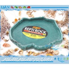 美國 ZOO MED 兩棲爬蟲原始食盤 L號 (22x18x2cm) 1201, 綠色