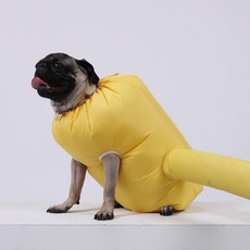 CompLife 펫드레서 寵物烘乾箱 M, 黃色, 1個