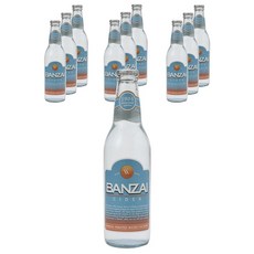 TOMOMASU DRINK 友桝飲料 萬歲汽水, 10個, 330ml