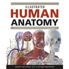 Illustrated Human Anatomy: The Authoritative Visual Guide to the Human Body 精裝版, Firefly Books, 英文