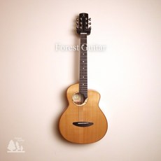 aNueNue L100 Fly Bird 41吋全單民謠吉他 西提卡雲杉桃花心木 森韻木吉他工作室