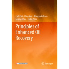 (英文圖書) Principles of Enhanced Oil Recovery 平裝版, Springer, 英文