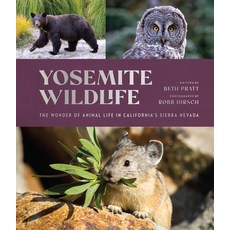 (英文圖書) Yosemite Wildlife: The Wonder of Animal Life in California's Sierra Nevada 精裝版, Yosemite Conservancy, 英文