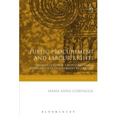 Public Procurement and Labour Rights: Towards Coherence in International Instruments of Procurement ... 平裝版, Continnuum-3PL, 英文