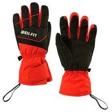 WELL FIT威飛客 進口SYNA-TEX男款滑雪手套 防風防水 保暖舒適, Black