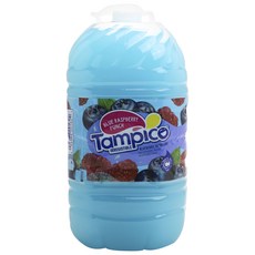 Tampico 不可抗拒的藍莓和覆盆子汁, 1個, 3.78L